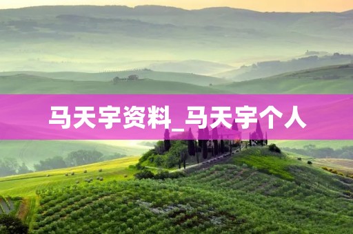 马天宇资料_马天宇个人