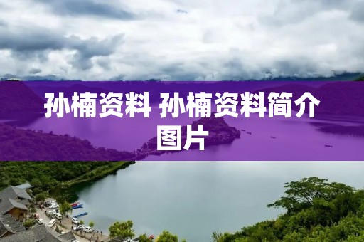 孙楠资料 孙楠资料简介图片