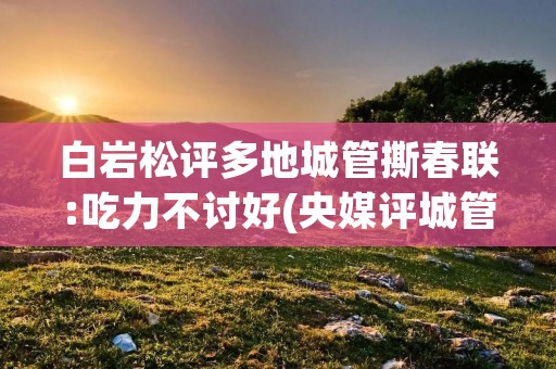 白岩松评多地城管撕春联:吃力不讨好(央媒评城管撕春联)