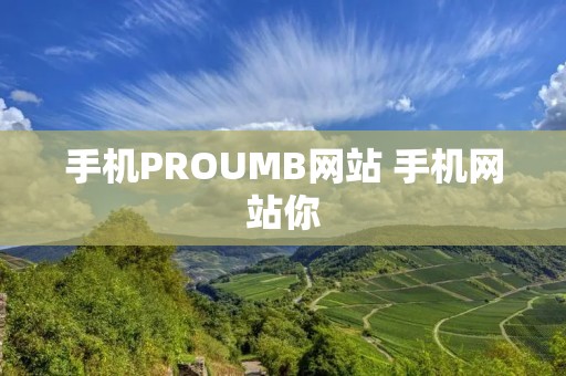 手机PROUMB网站 手机网站你