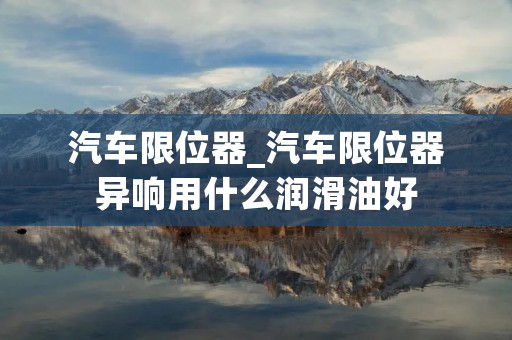 汽车限位器_汽车限位器异响用什么润滑油好