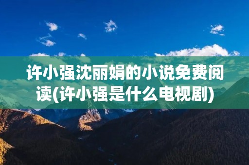 许小强沈丽娟的小说免费阅读(许小强是什么电视剧)