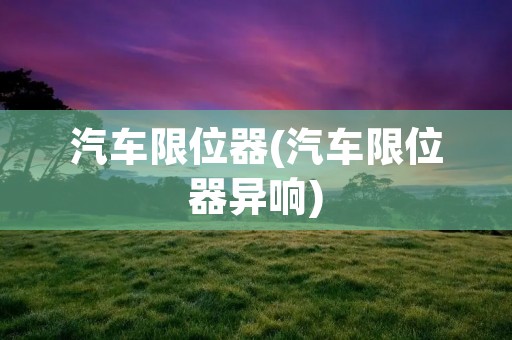 汽车限位器(汽车限位器异响)