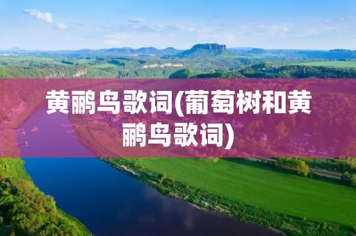 黄鹂鸟歌词(葡萄树和黄鹂鸟歌词)
