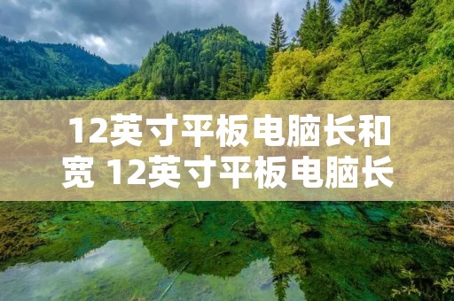 12英寸平板电脑长和宽 12英寸平板电脑长宽尺寸图