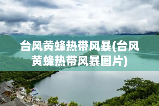 台风黄蜂热带风暴(台风黄蜂热带风暴图片) 台风黄蜂热带风暴(台风黄蜂热带风暴图片)
