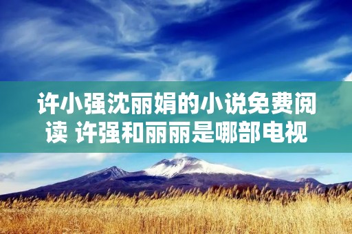 许小强沈丽娟的小说免费阅读 许强和丽丽是哪部电视剧