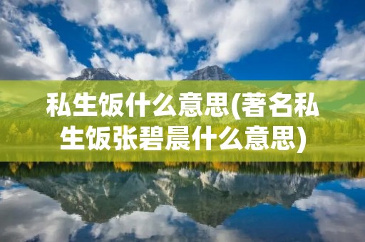 私生饭什么意思(著名私生饭张碧晨什么意思)