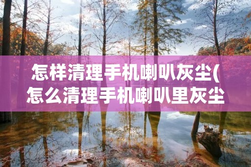 怎样清理手机喇叭灰尘(怎么清理手机喇叭里灰尘)
