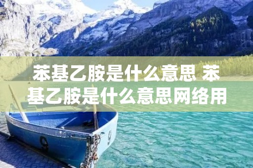 苯基乙胺是什么意思 苯基乙胺是什么意思网络用语