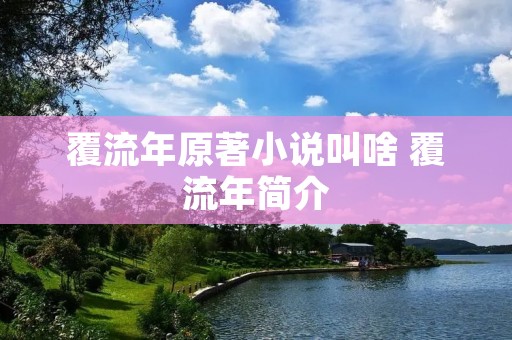 覆流年原著小说叫啥 覆流年简介
