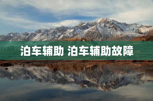 泊车辅助 泊车辅助故障