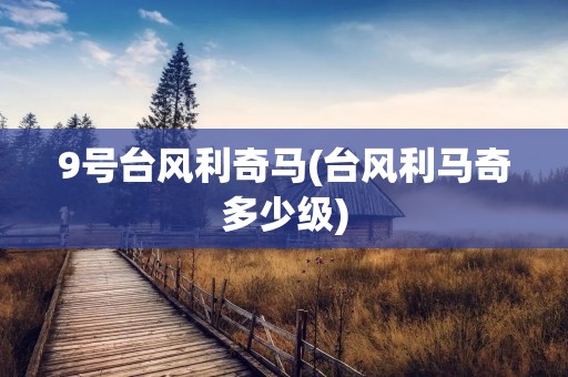 9号台风利奇马(台风利马奇多少级)