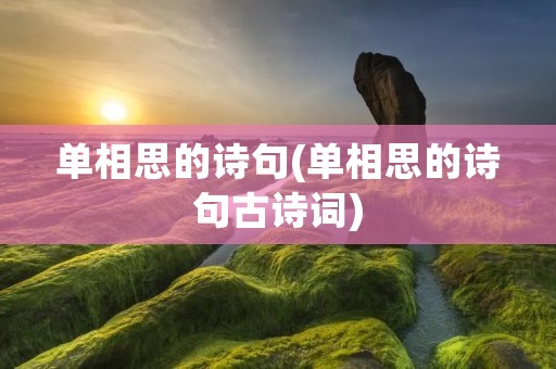单相思的诗句(单相思的诗句古诗词)