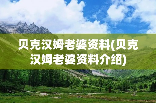贝克汉姆老婆资料(贝克汉姆老婆资料介绍) 贝克汉姆老婆资料(贝克汉姆老婆资料介绍)