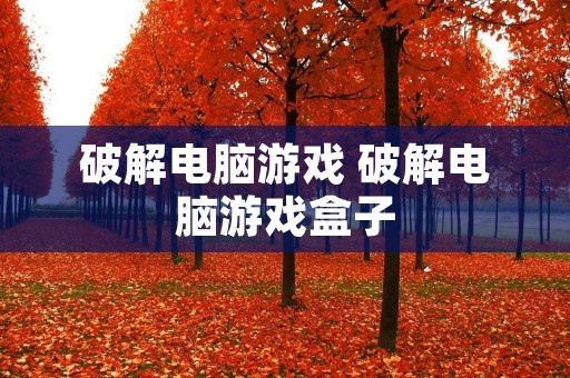 破解电脑游戏 破解电脑游戏盒子