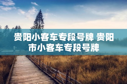 贵阳小客车专段号牌 贵阳市小客车专段号牌