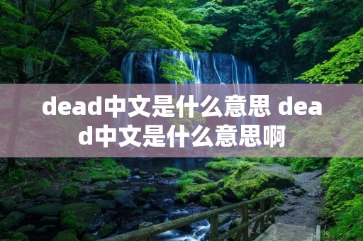 dead中文是什么意思 dead中文是什么意思啊