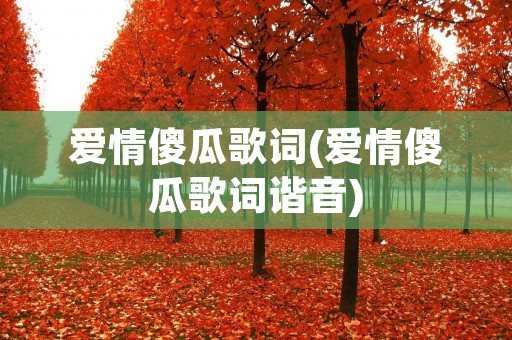 爱情傻瓜歌词(爱情傻瓜歌词谐音)