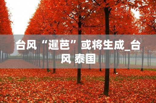 台风“暹芭”或将生成_台风 泰国 台风“暹芭”或将生成_台风 泰国