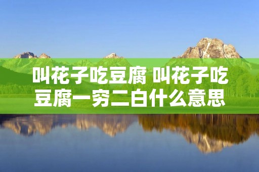 叫花子吃豆腐 叫花子吃豆腐一穷二白什么意思