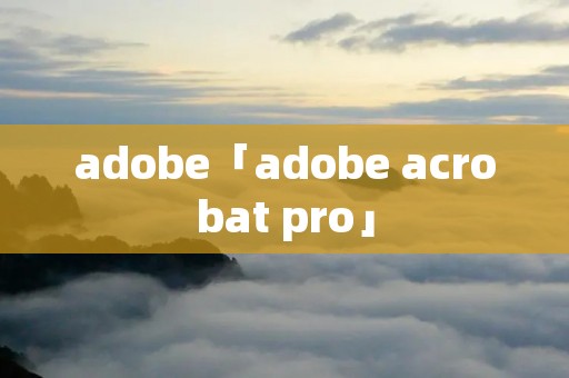 adobe「adobe acrobat pro」 adobe「adobe acrobat pro」