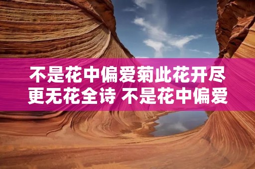 不是花中偏爱菊此花开尽更无花全诗 不是花中偏爱菊此花开尽更无花全诗朗诵