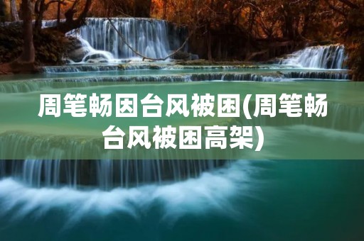 周笔畅因台风被困(周笔畅台风被困高架) 周笔畅因台风被困(周笔畅台风被困高架)