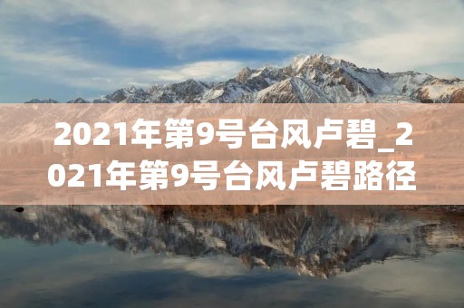 2021年第9号台风卢碧_2021年第9号台风卢碧路径