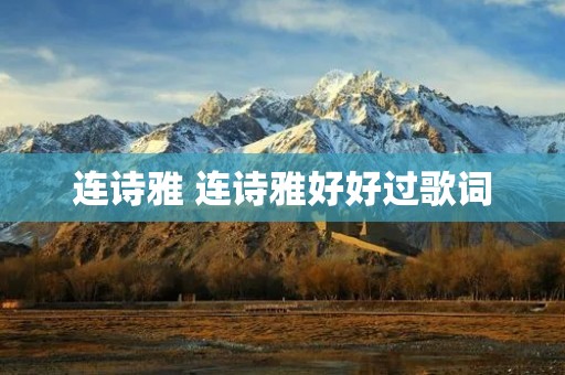 连诗雅 连诗雅好好过歌词