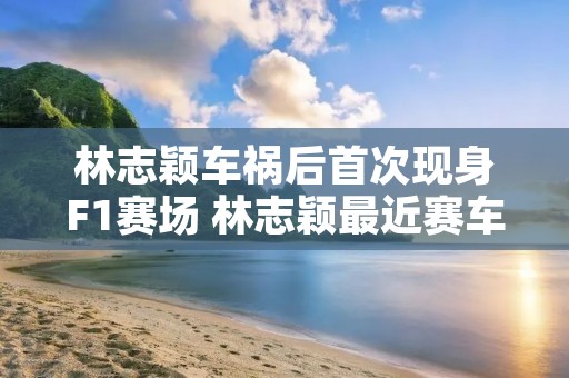 林志颖车祸后首次现身F1赛场 林志颖最近赛车比赛 林志颖车祸后首次现身F1赛场 林志颖最近赛车比赛