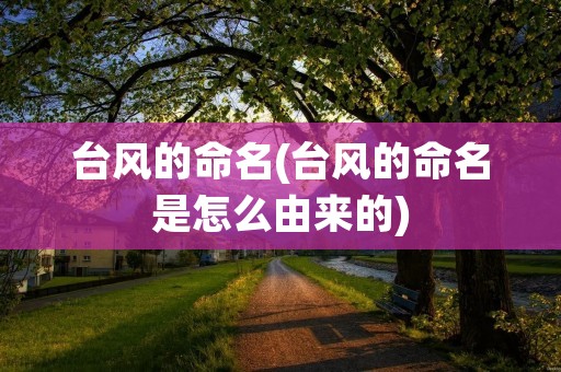台风的命名(台风的命名是怎么由来的)