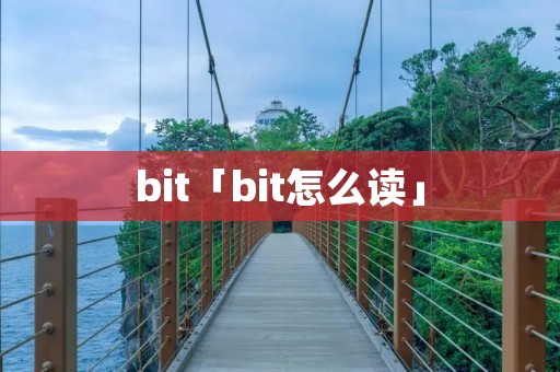 bit「bit怎么读」