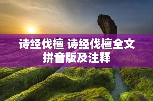 诗经伐檀 诗经伐檀全文拼音版及注释