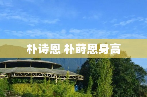 朴诗恩 朴莳恩身高