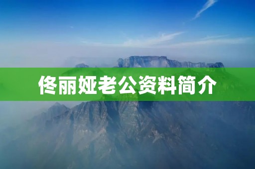 佟丽娅老公资料简介