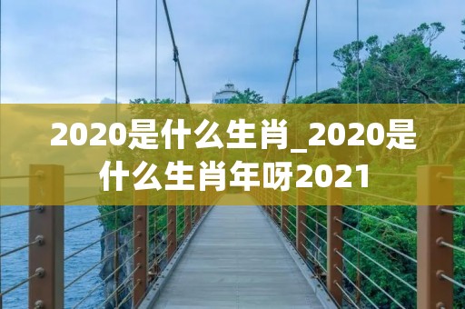 2020是什么生肖_2020是什么生肖年呀2021 2020是什么生肖_2020是什么生肖年呀2021