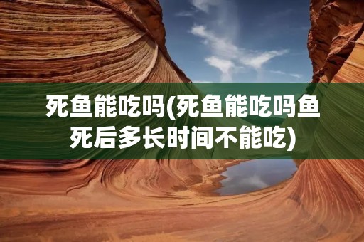 死鱼能吃吗(死鱼能吃吗鱼死后多长时间不能吃)