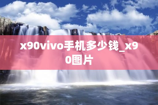 x90vivo手机多少钱_x90图片