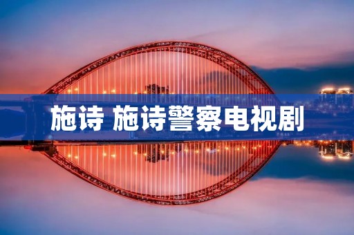 施诗 施诗警察电视剧