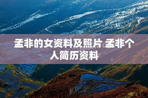 孟非的女资料及照片 孟非个人简历资料