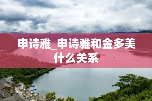 申诗雅_申诗雅和金多美什么关系
