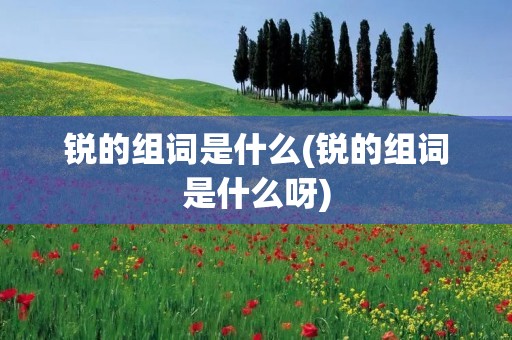 锐的组词是什么(锐的组词是什么呀)