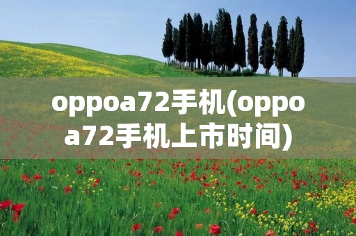 oppoa72手机(oppoa72手机上市时间)