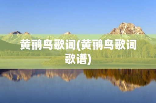黄鹂鸟歌词(黄鹂鸟歌词歌谱)