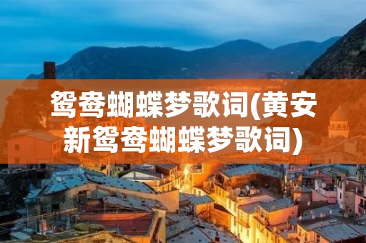 鸳鸯蝴蝶梦歌词(黄安新鸳鸯蝴蝶梦歌词)