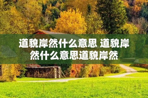 道貌岸然什么意思 道貌岸然什么意思道貌岸然