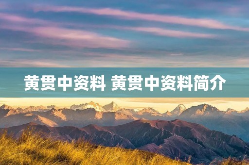黄贯中资料 黄贯中资料简介