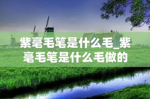 紫毫毛笔是什么毛_紫毫毛笔是什么毛做的
