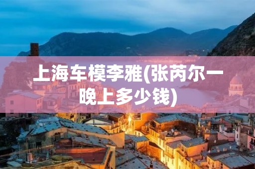 上海车模李雅(张芮尔一晚上多少钱)